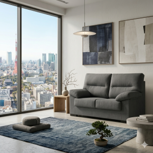 Sofá 2 Plazas Gris Marengo | Confort Moderno - Muebles sari